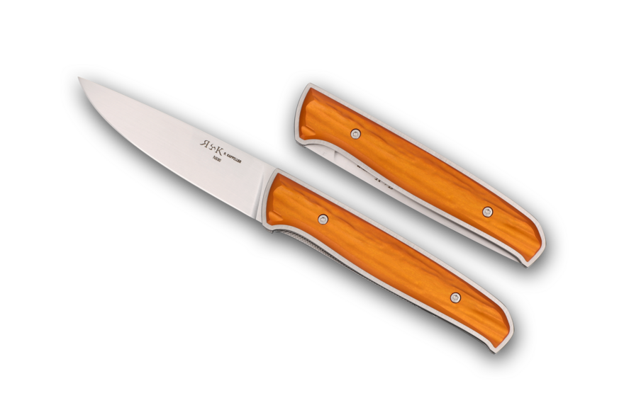 Folding Knife Linerlock Ramure Vario